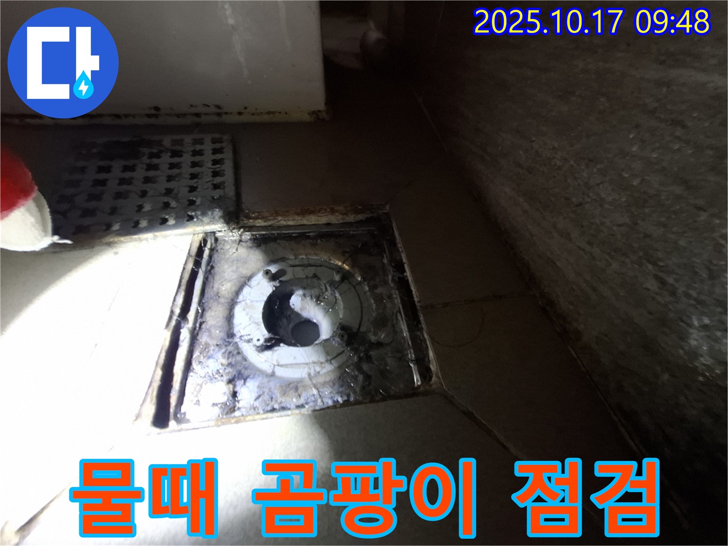 분당 삼평동 봇들마을 아파트 욕실 배수구 주변 물때 곰팡이 - 누수 가능성을 꼼꼼히 점검하고 원인을 파악합니다.