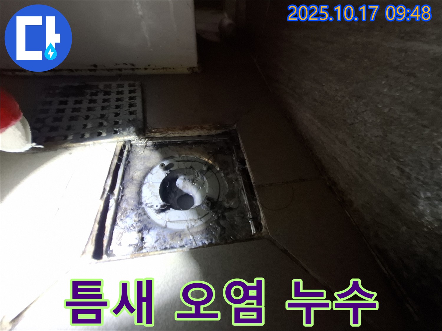 분당 삼평동 봇들마을 아파트 욕실 배수구 주변 틈새 오염 - 누수 가능성을 꼼꼼히 점검하고 원인을 파악합니다.