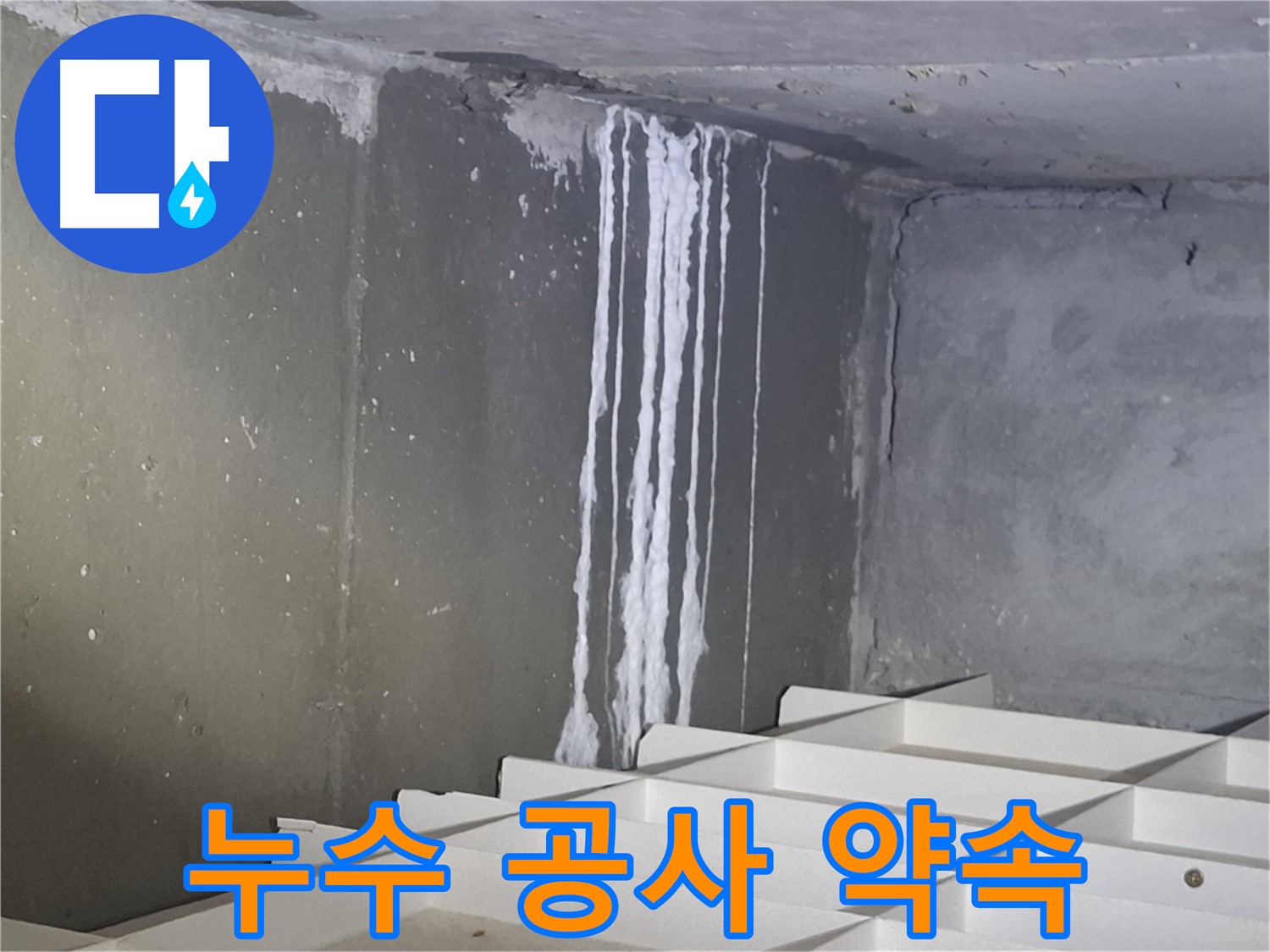 분당 삼평동 봇들마을 아파트 - 지하 누수 공사, 완벽하게 해결 약속!