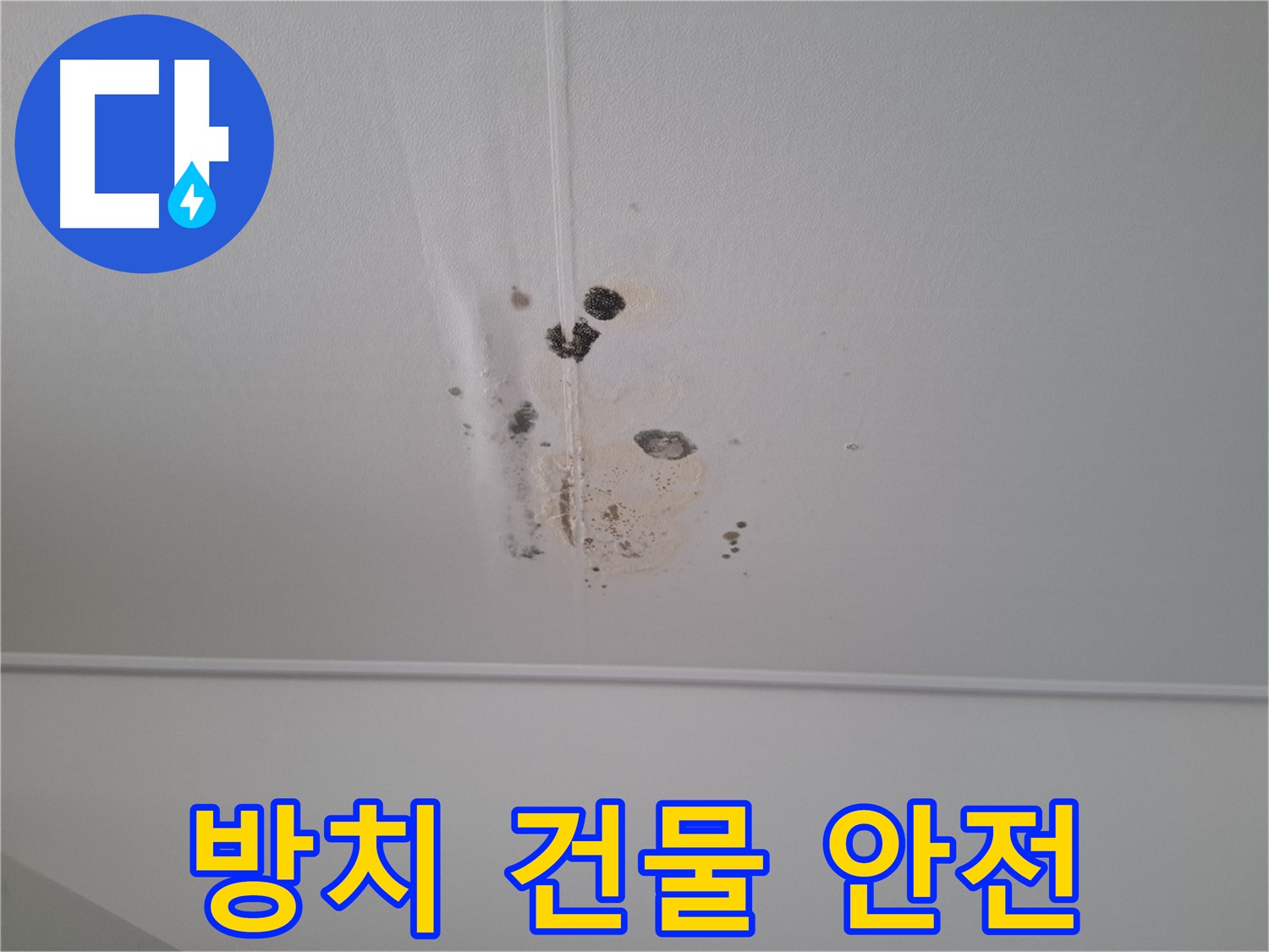 분당 삼평동 봇들마을2단지 아파트 - 누수를 방치하면 건물 안전에 심각한 문제가 발생할 수 있습니다 - 주의하세요.