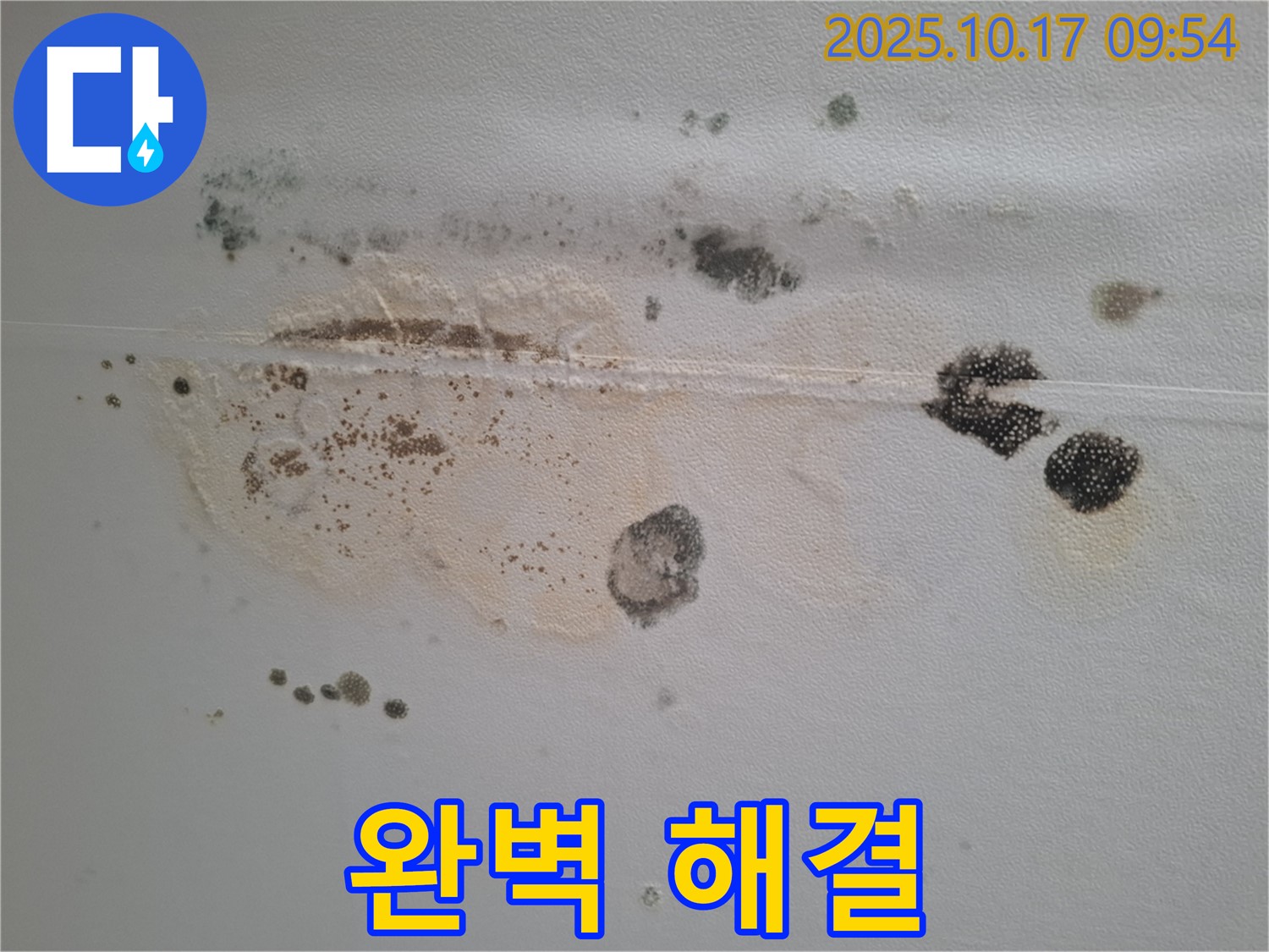 분당 삼평동 봇들마을2단지 아파트 천장 누수 - 곰팡이 제거 및 누수 해결, 완벽하게 해결해 드립니다