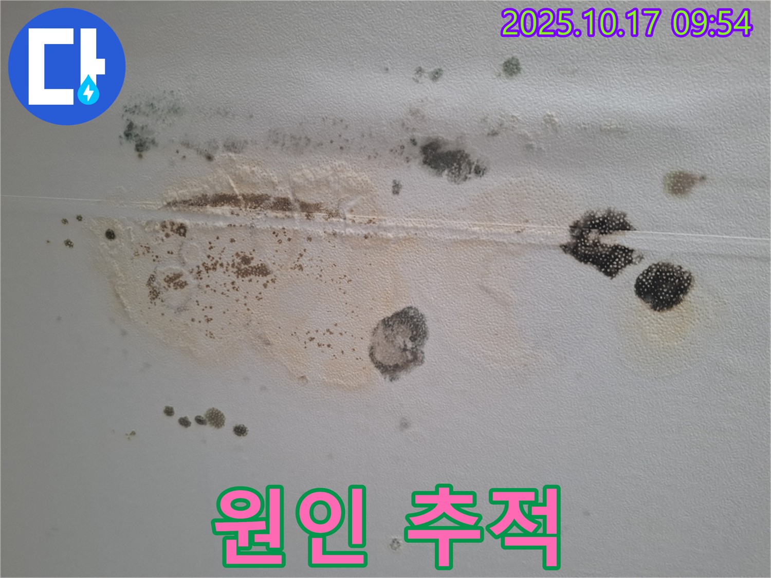 분당 삼평동 봇들마을2단지 아파트 천장 누수탐지 - 곰팡이의 숨겨진 비밀, 누수 원인을 꼼꼼하게 추적합니다