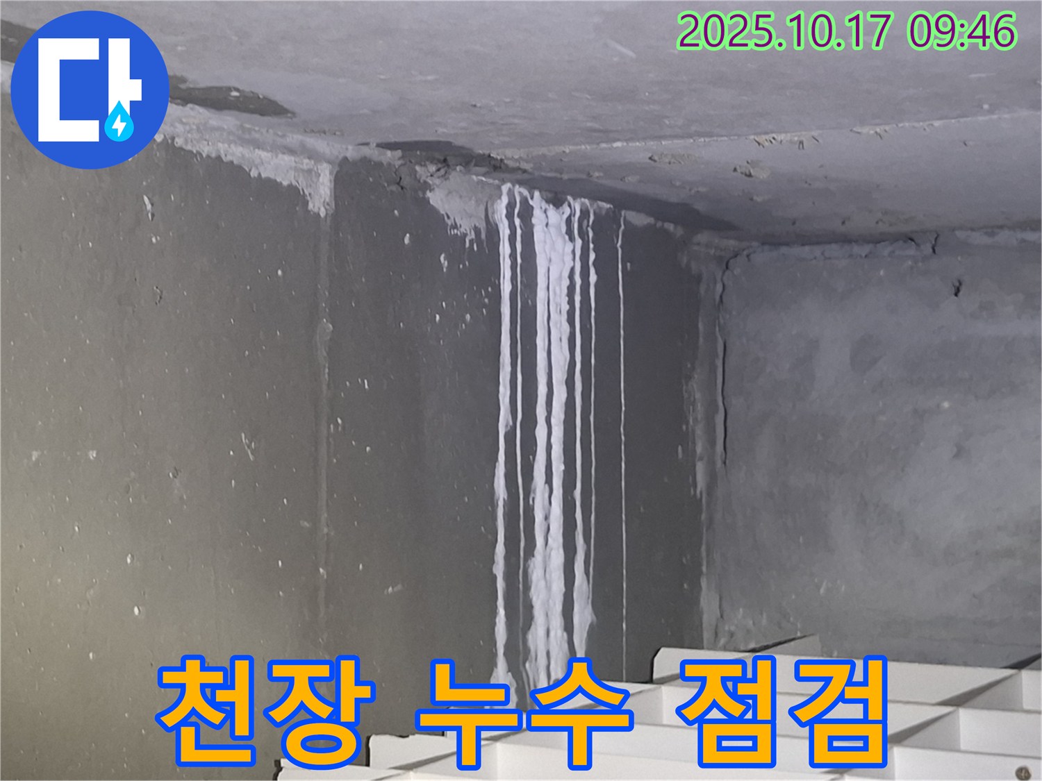 분당 삼평동 봇들마을2단지 아파트에서 천장 누수 긴급 방문 점검 - 천장의 석회 자국은 오랜 기간 누수가 진행되었음을 나타냅니다.