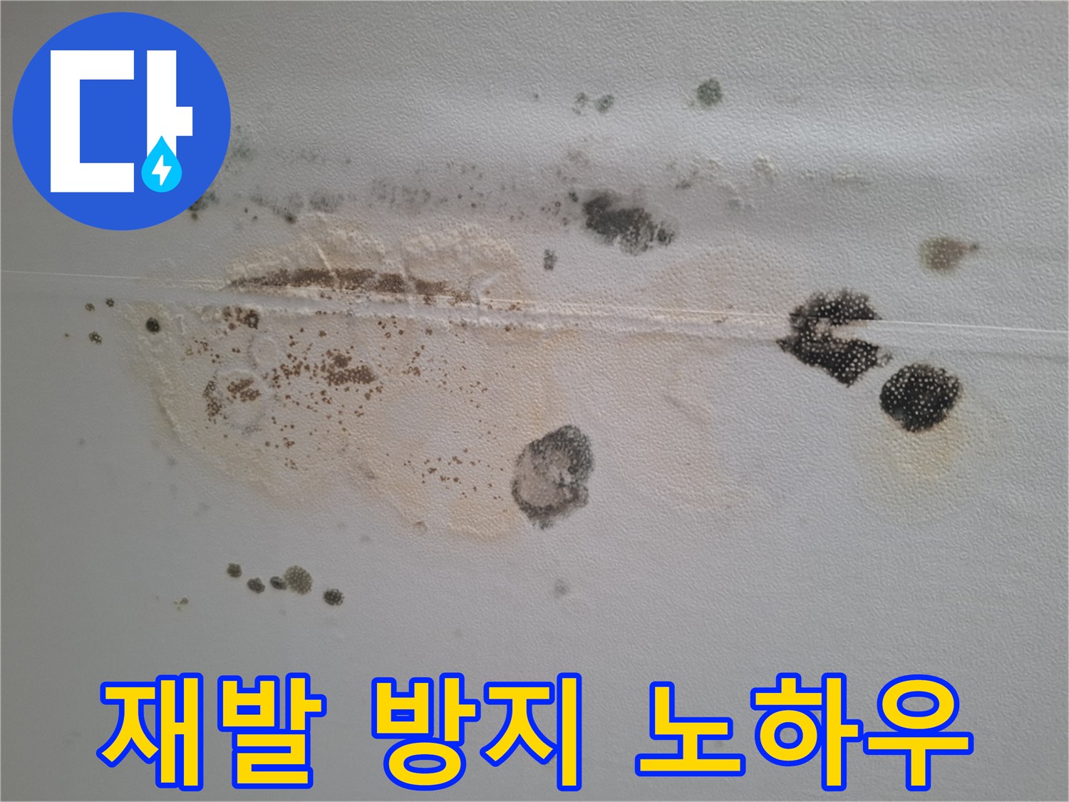 분당 삼평동 아파트 누수 - 곰팡이 재발 방지 노하우 공개