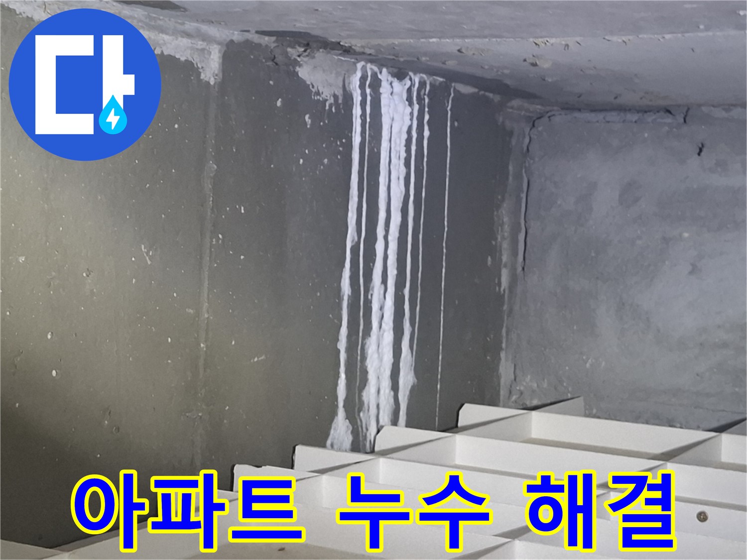 분당 삼평동 아파트 누수 - 원인을 찾아서 완벽하게 해결!