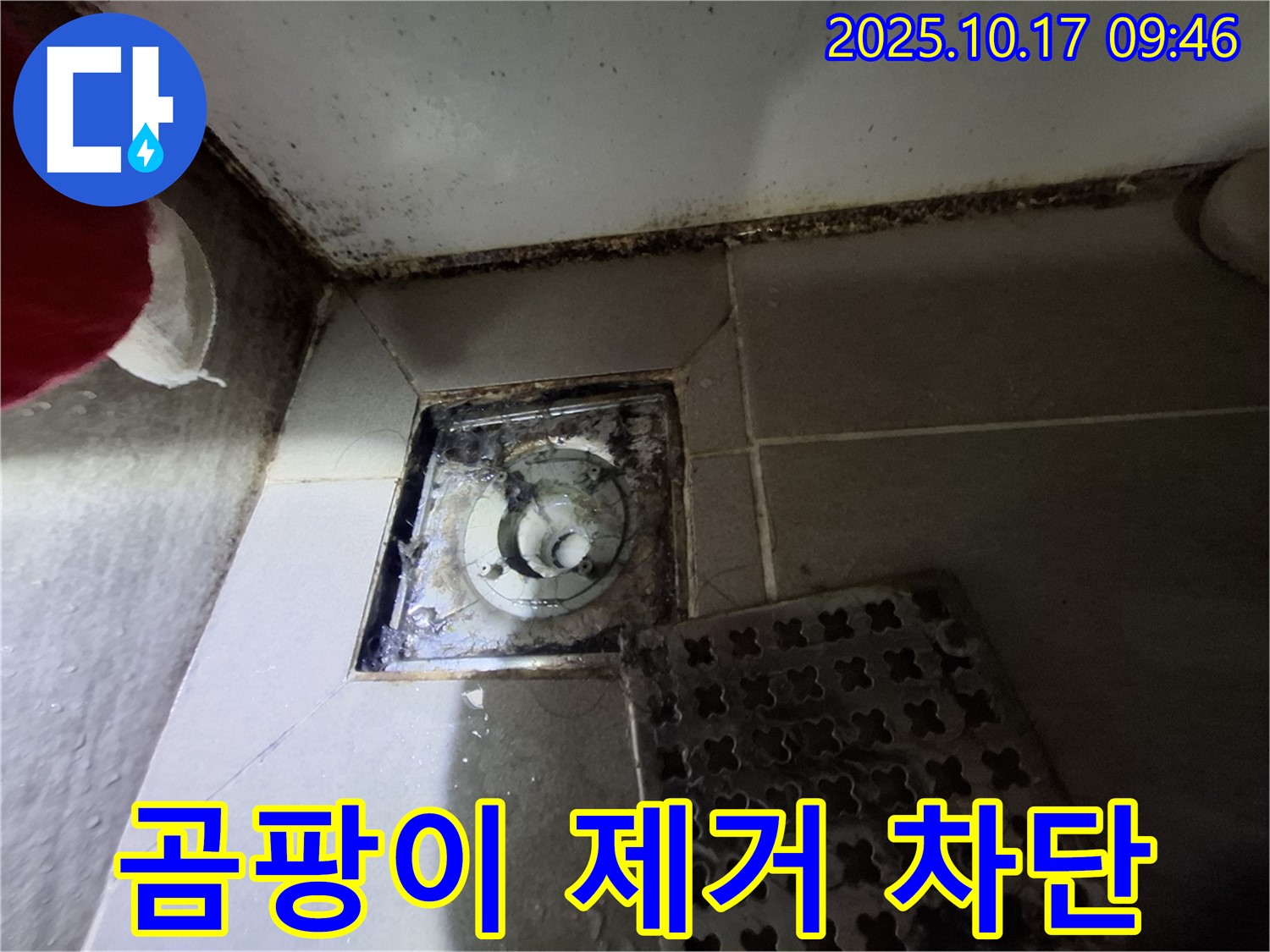 분당 판교 봇들마을 아파트 - 욕실 곰팡이 제거 - 누수 완벽 차단 - 쾌적한 욕실을 만들어 드립니다.
