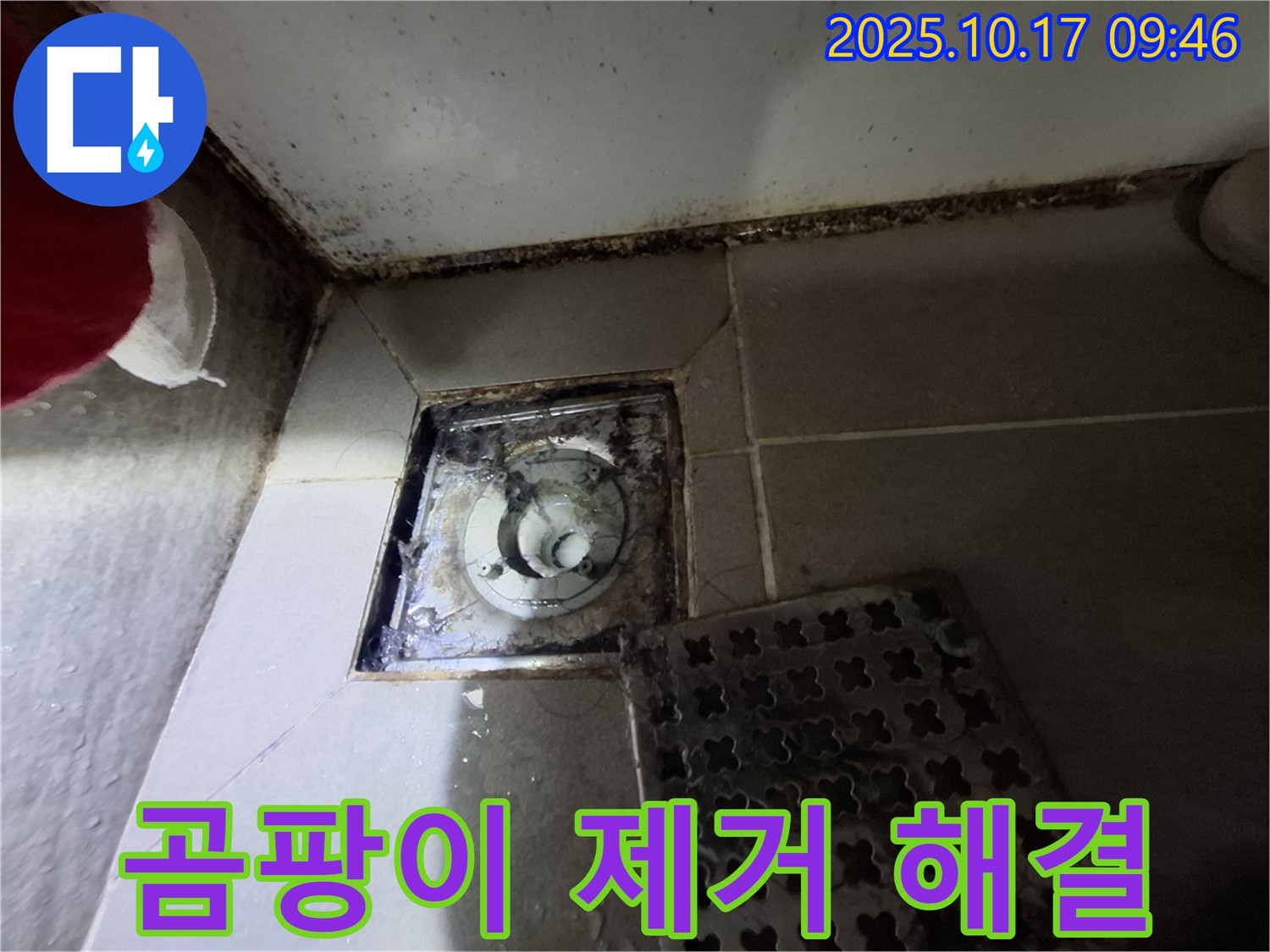 분당 판교 봇들마을 아파트 - 욕실 배수구 곰팡이 제거 - 누수 완벽 해결 - 맞춤형 솔루션으로 쾌적한 욕실 환경을 만들어 드립니다.