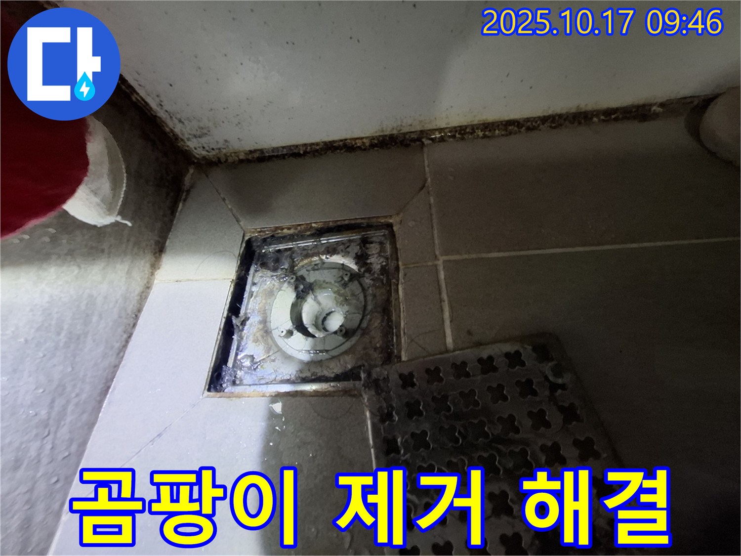분당 판교 봇들마을 아파트 - 욕실 배수구 곰팡이 제거 - 누수 완벽 해결 - 맞춤형 솔루션으로 쾌적한 욕실 환경을 만들어 드립니다.