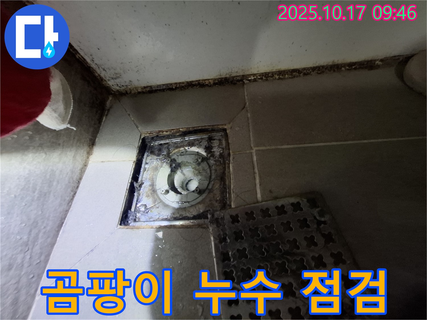 분당 판교 봇들마을2단지 아파트 - 욕실 배수구 곰팡이와 누수 흔적 발견 - 긴급 점검 - 신속하게 해결해 드립니다.