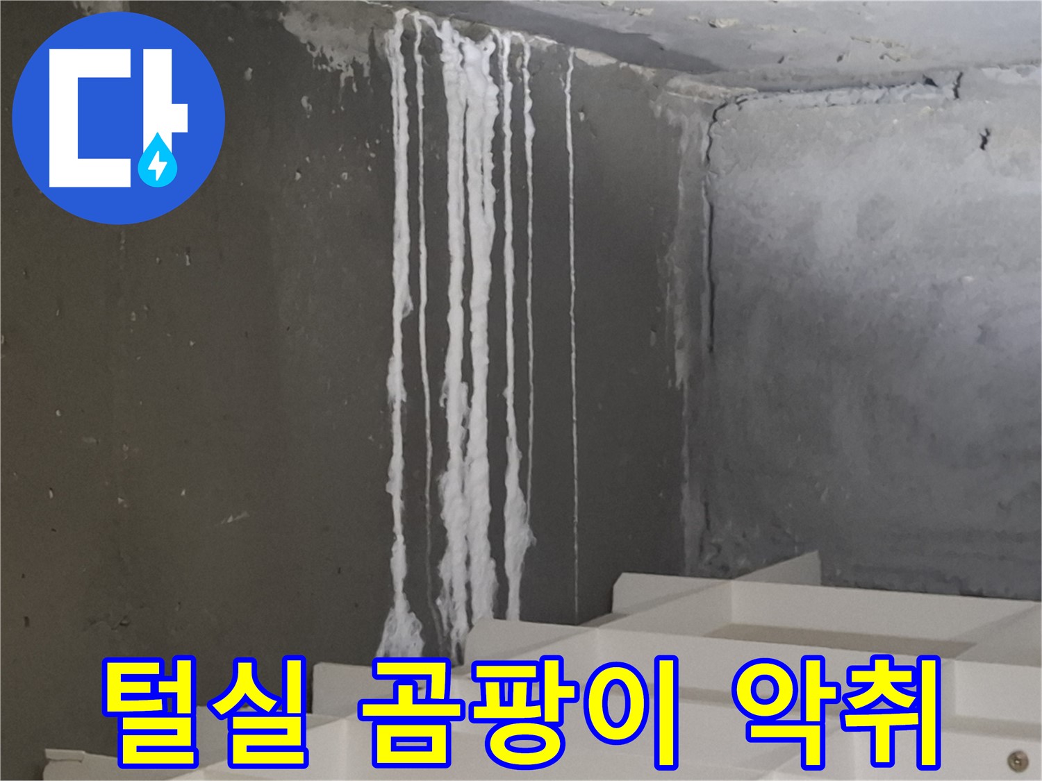 분당구 삼평동 봇들마을 아파트 누수 - 계단 '하얀 털실' 누수는 곰팡이 서식과 악취 발생의 주범입니다.