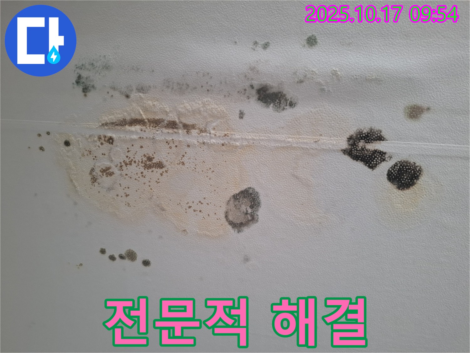 분당구 삼평동 봇들마을 아파트 천장 누수 전문 업체 - 곰팡이와 누수 문제를 한 번에 해결해 드립니다