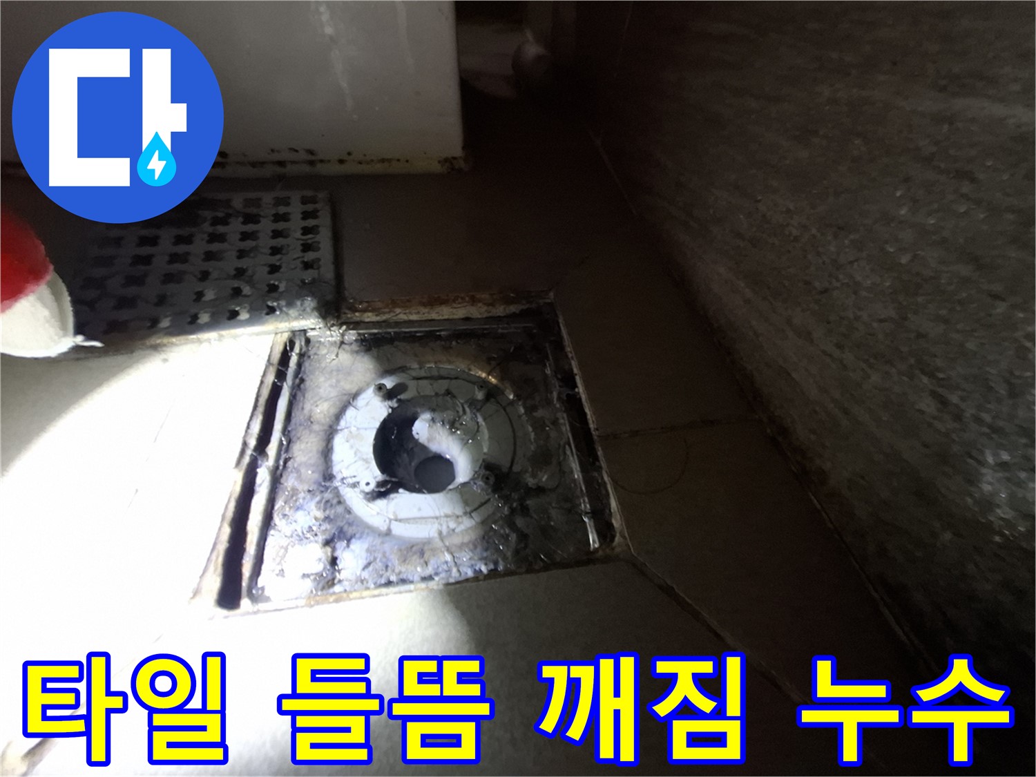 분당구 삼평동 봇들마을 욕실 하수구 주변 타일 들뜸 - 새 타일로 교체하고 누수 해결