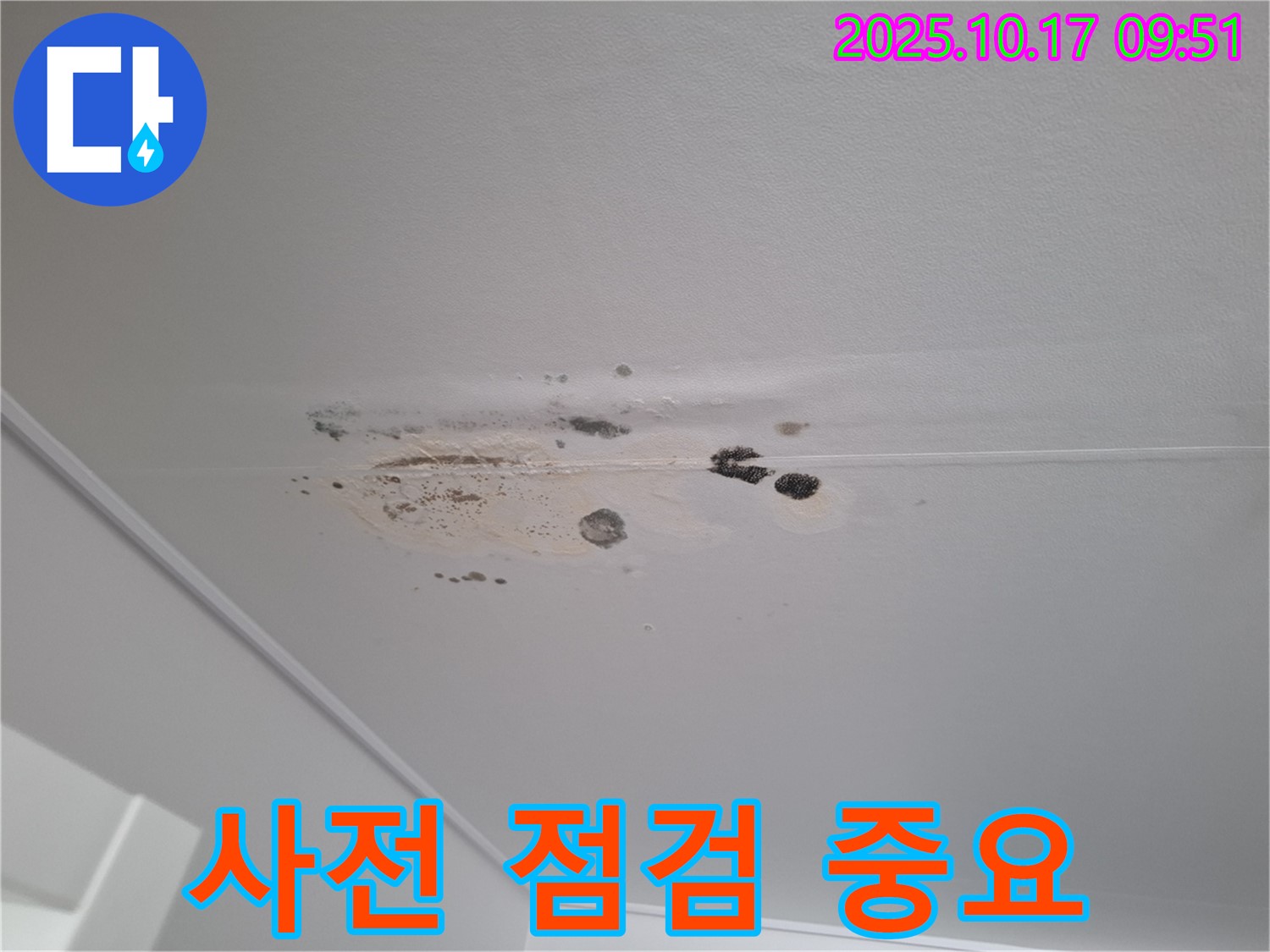 삼평동 누수 - 곰팡이 얼룩 심한 천장 - 누수 발생 전 사전 점검의 중요성 강조