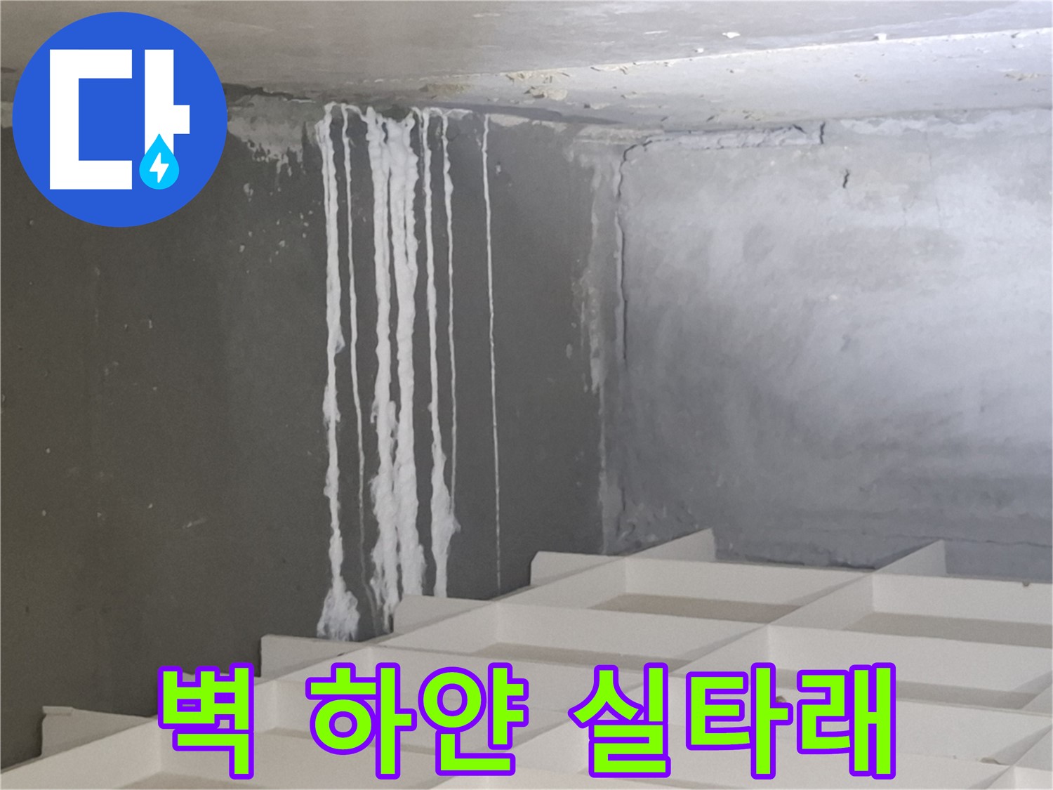 삼평동 누수 - 벽에 맺힌 하얀 실타래, 누수와 관련된 석회 성분일 가능성 정밀 분석
