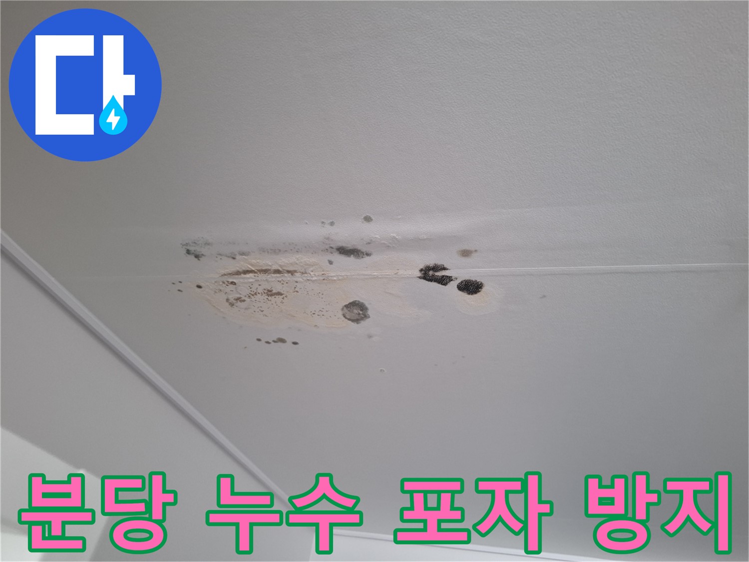 천장 누수 - 곰팡이 포자 확산 방지, 건강을 지키세요