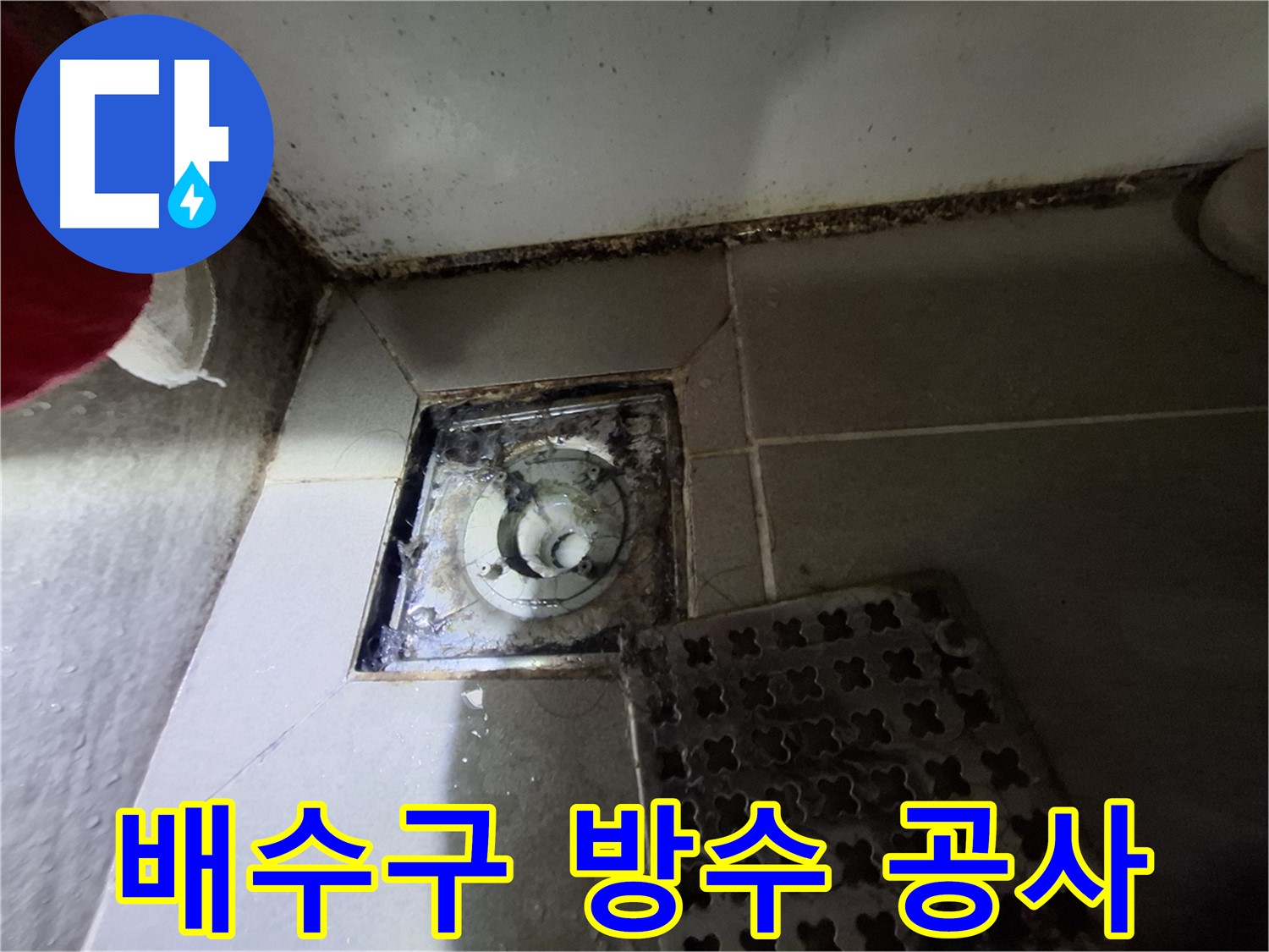 삼평동 봇들마을 아파트 욕실 배수구 방수 공사 - 꼼꼼한 시공으로 누수 완벽 차단