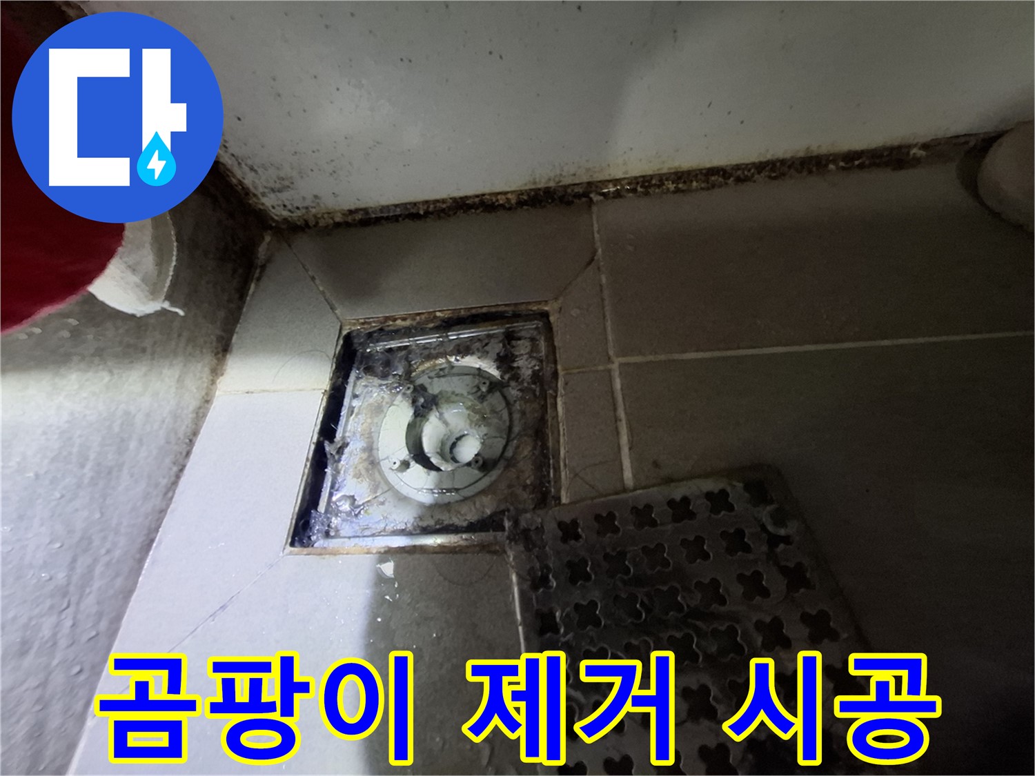 삼평동 봇들마을2단지 욕실 - 곰팡이 제거 후 완벽 방수 시공