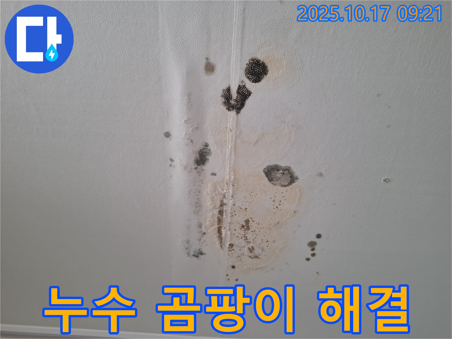 삼평동 아파트 누수 - 곰팡이 문제 해결 및 누수 재발 방지 시공 사례