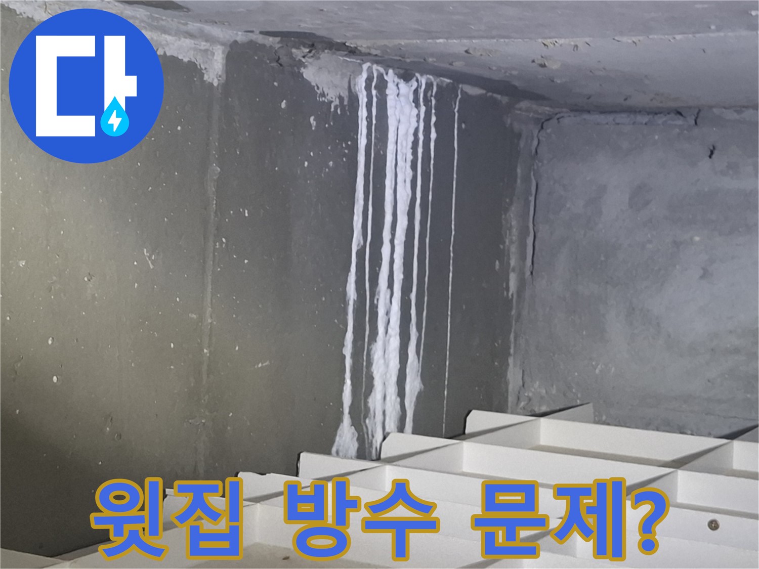 성남 봇들마을 아파트 누수 - 윗집 방수 문제일 가능성도 확인