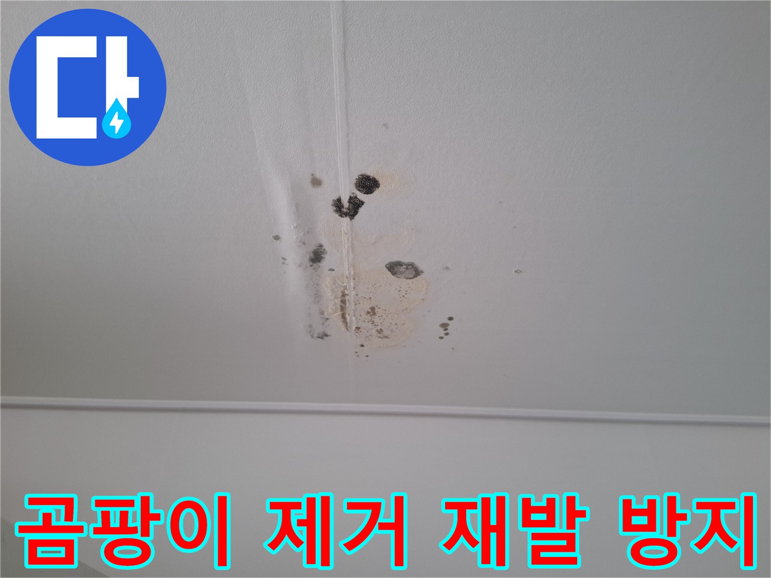 성남 봇들마을 아파트 - 천장 누수, 곰팡이 제거 후 완벽한 재발 방지 시공을 약속드립니다.
