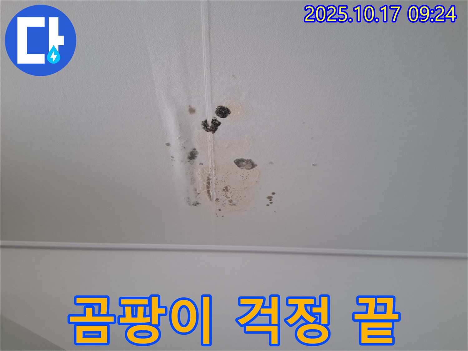 성남 봇들마을2단지 아파트 206동 천장 누수 - 완벽 차단, 곰팡이 걱정 끝