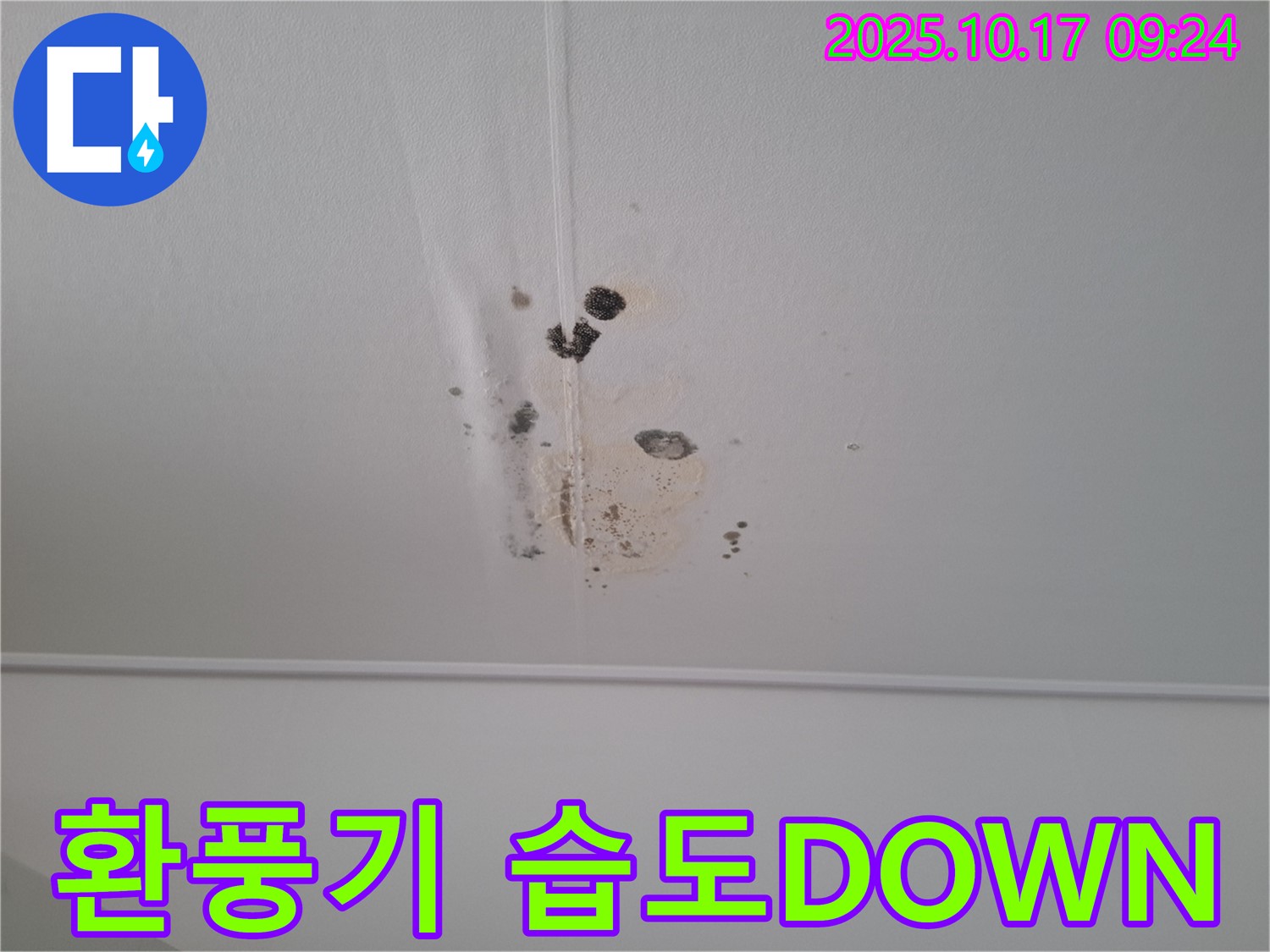 성남 봇들마을2단지 아파트 천장 누수 - 환풍기 설치로 습도 DOWN