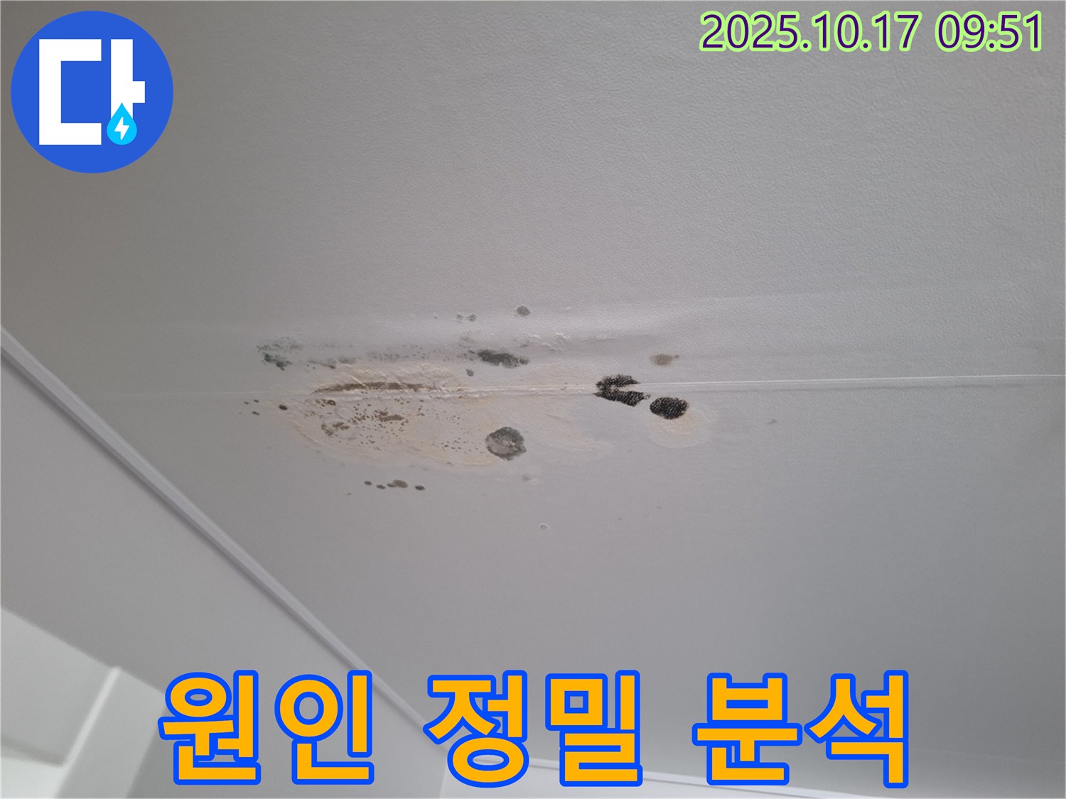 성남 분당 누수 - 곰팡이와 얼룩 천장 - 누수 원인 정밀 분석 진행 중