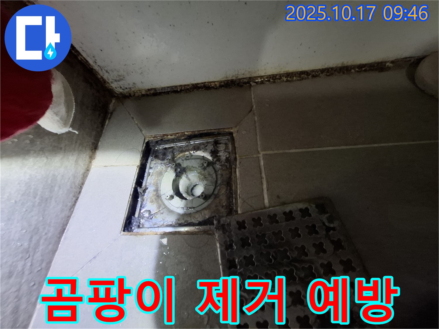 성남 분당 봇들마을 아파트 - 욕실 배수구 곰팡이 제거 - 누수 예방 솔루션 - 쾌적한 욕실 환경을 위한 최고의 선택.