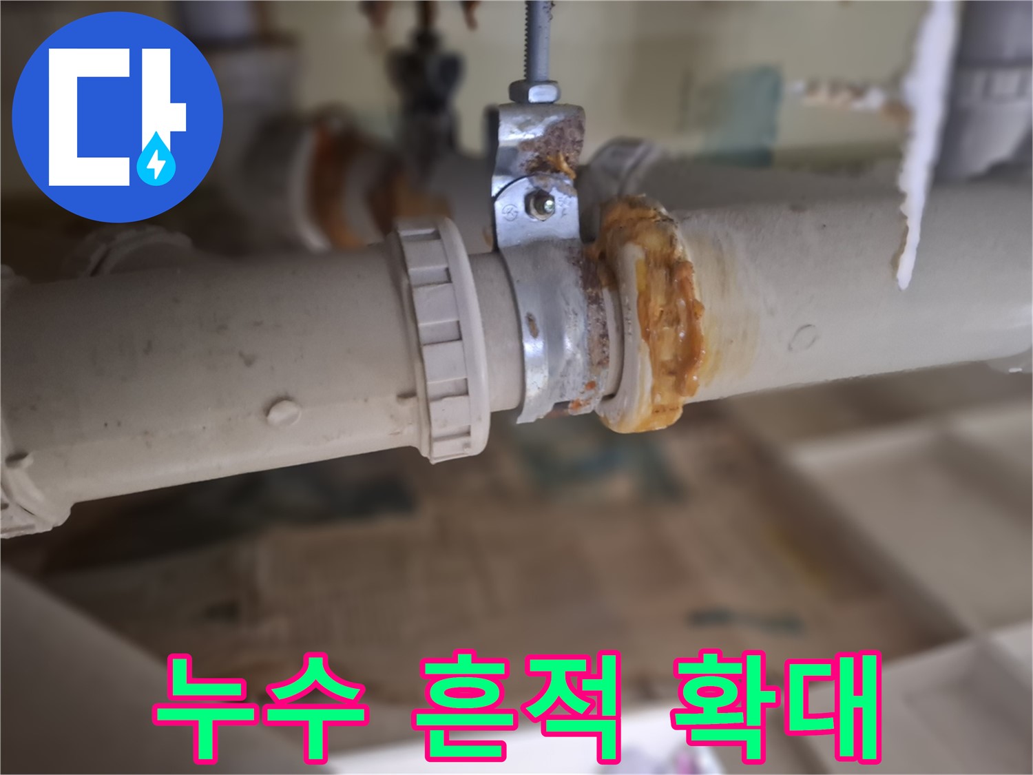 성남 분당 봇들마을2단지 누수 현장 - 누수 흔적을 확대한 사진입니다. 정확한 원인 파악을 위해 꼼꼼히 살펴보고 있습니다.