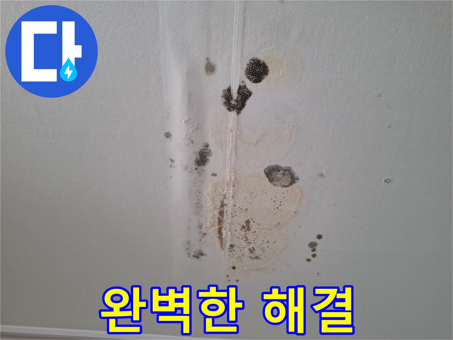 성남 분당 삼평동 누수 - 곰팡이 문제 완벽 해결!
