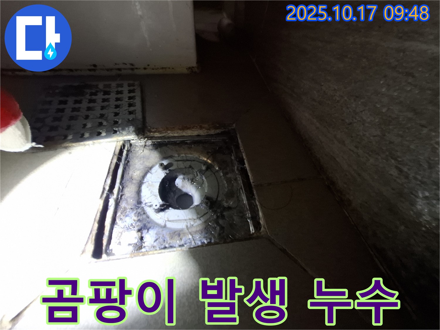 성남 분당 삼평동 봇들마을 아파트 욕실 배수구 주변 곰팡이 - 누수 여부를 진단하고 곰팡이 제거 방법을 안내합니다.