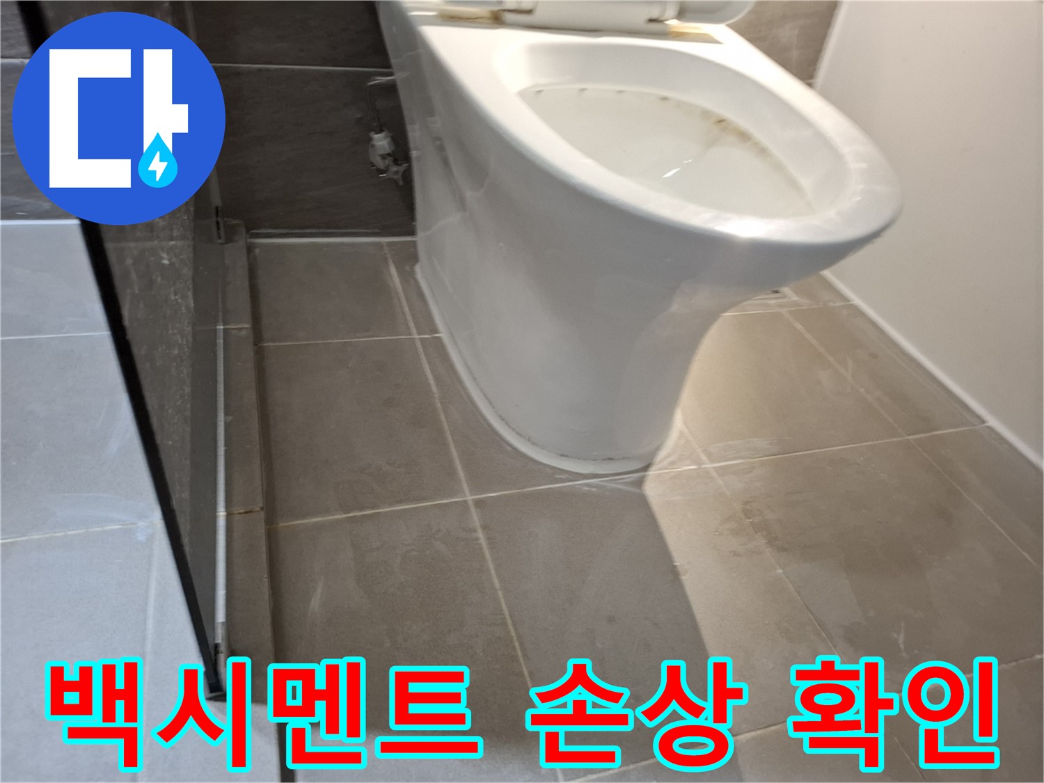 성남 삼평동 - 변기 하부 백시멘트 손상, 누수 가능성 확인