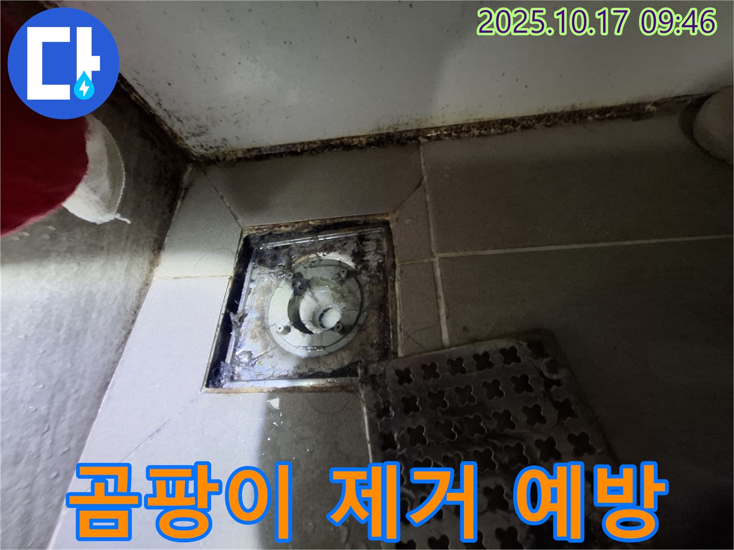 성남 판교 봇들마을 아파트 - 욕실 곰팡이 제거 - 누수 사전 점검 - 맞춤 컨설팅 제공 - 쾌적한 욕실 환경을 위한 최고의 선택.