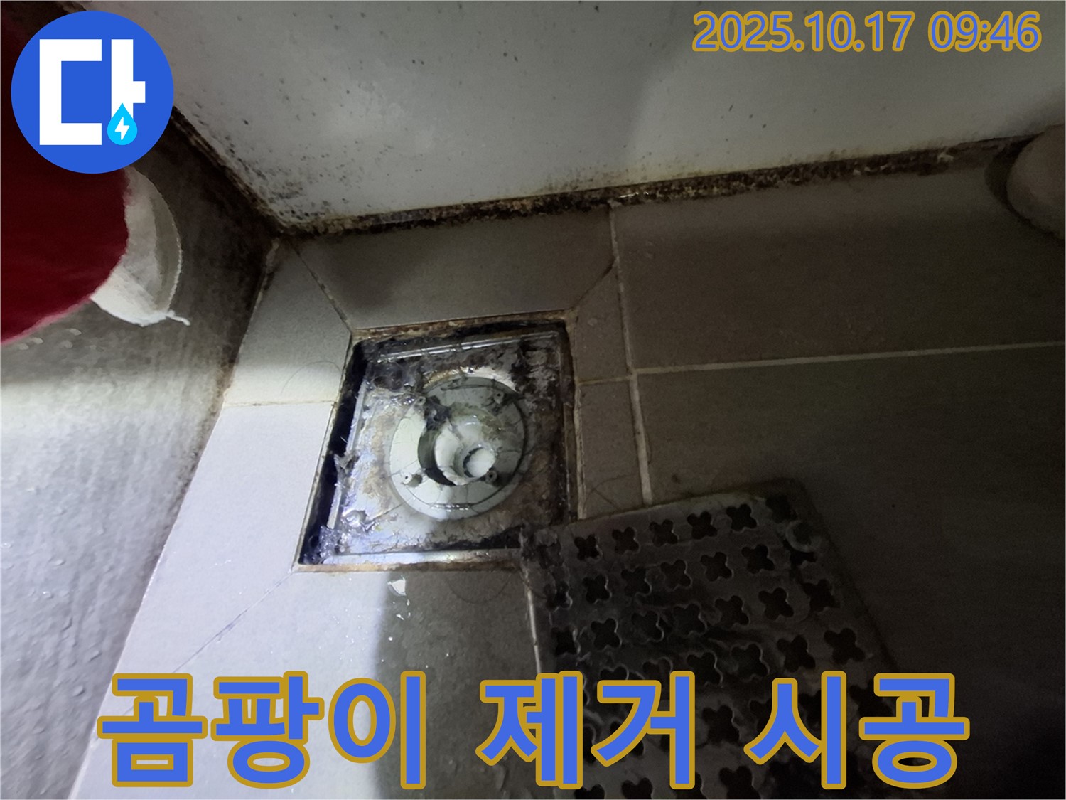 성남 판교 봇들마을 아파트 욕실 배수구 곰팡이 제거 - 누수 완벽 차단 시공 - 쾌적한 욕실 환경을 만들어 드립니다.