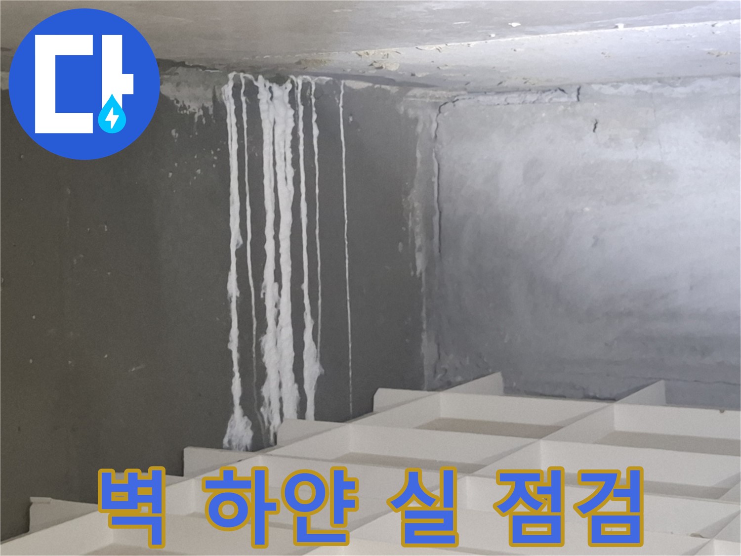 성남시 분당구 누수 - 벽에서 하얀 실 발견, 누수 긴급 점검 및 해결 전문