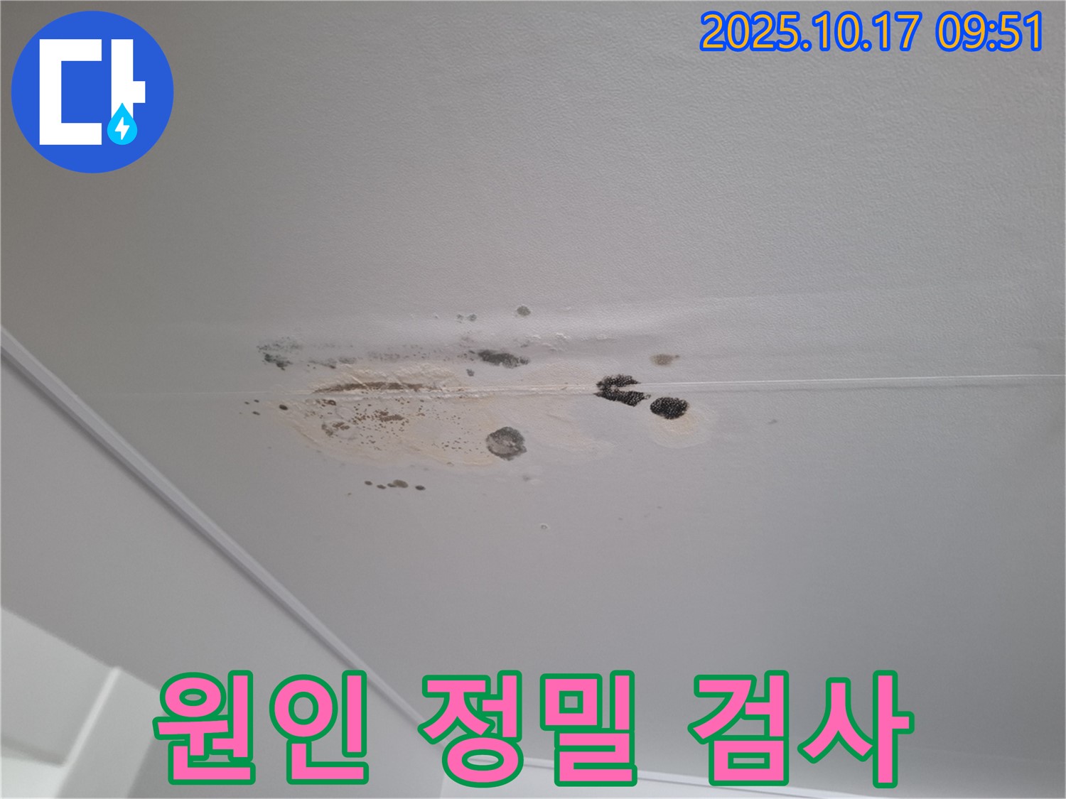 성남시 분당구 누수 - 심한 얼룩과 곰팡이 천장 - 누수 원인 정밀 검사 진행