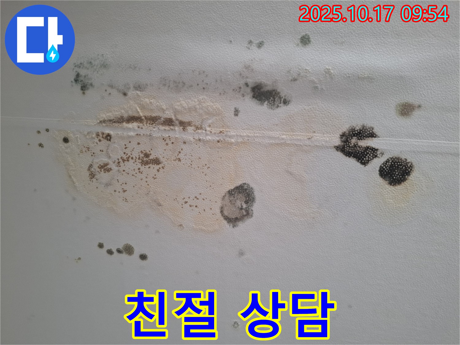성남시 분당구 봇들마을 아파트 천장 누수 문의 - 친절하고 자세한 상담으로 고객님의 궁금증 해결