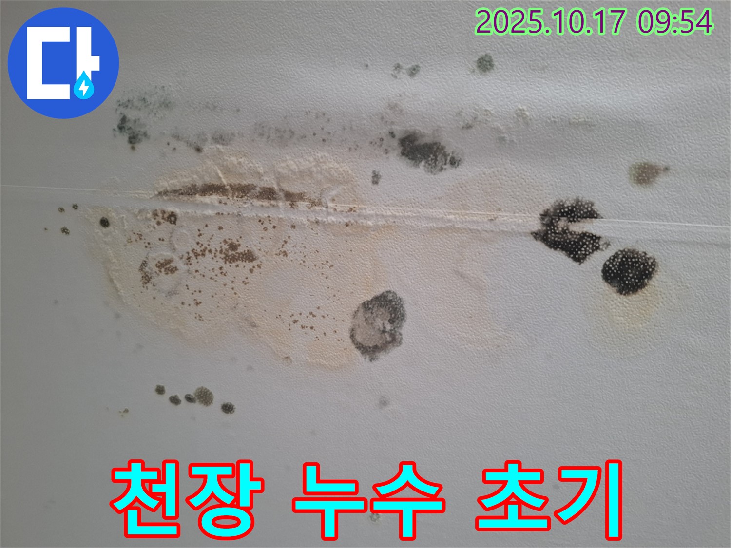 성남시 분당구 봇들마을 아파트 천장에서 발견된 누수 초기 증상 - 곰팡이 발생 전 변색된 모습