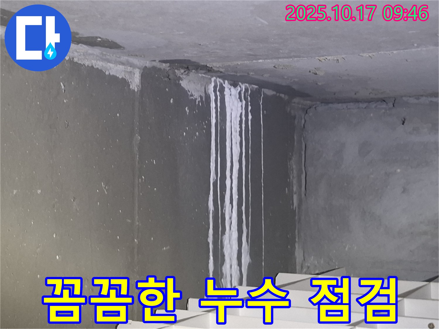 성남시 분당구 삼평동 봇들마을2단지 아파트 계단실 벽면 누수 - 꼼꼼한 점검을 통해 누수 위치와 범위를 파악하고 있습니다.