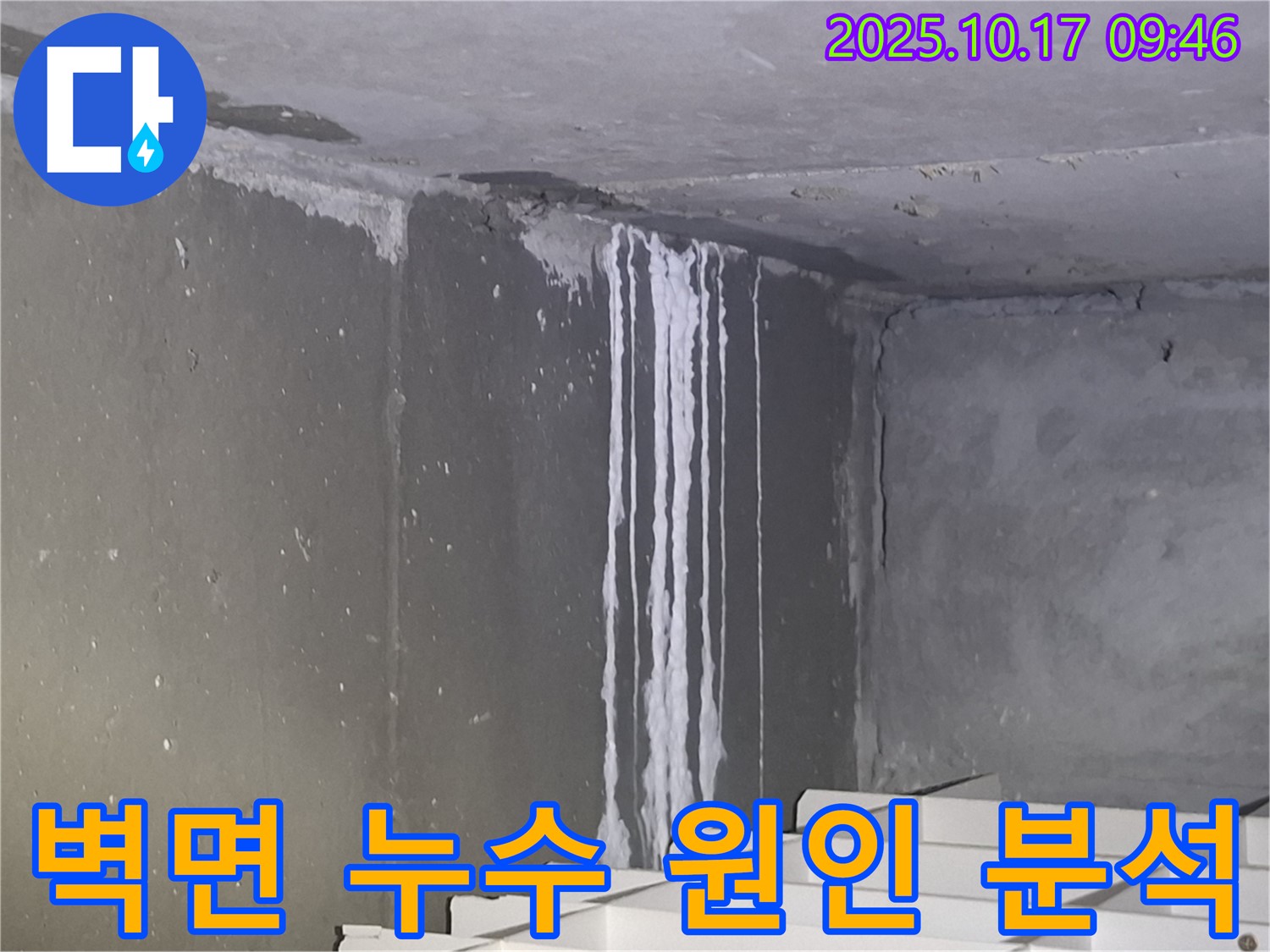 성남시 분당구 삼평동 봇들마을2단지 아파트 계단실 벽면 누수 - 누수 원인을 집중적으로 분석하고 있습니다.