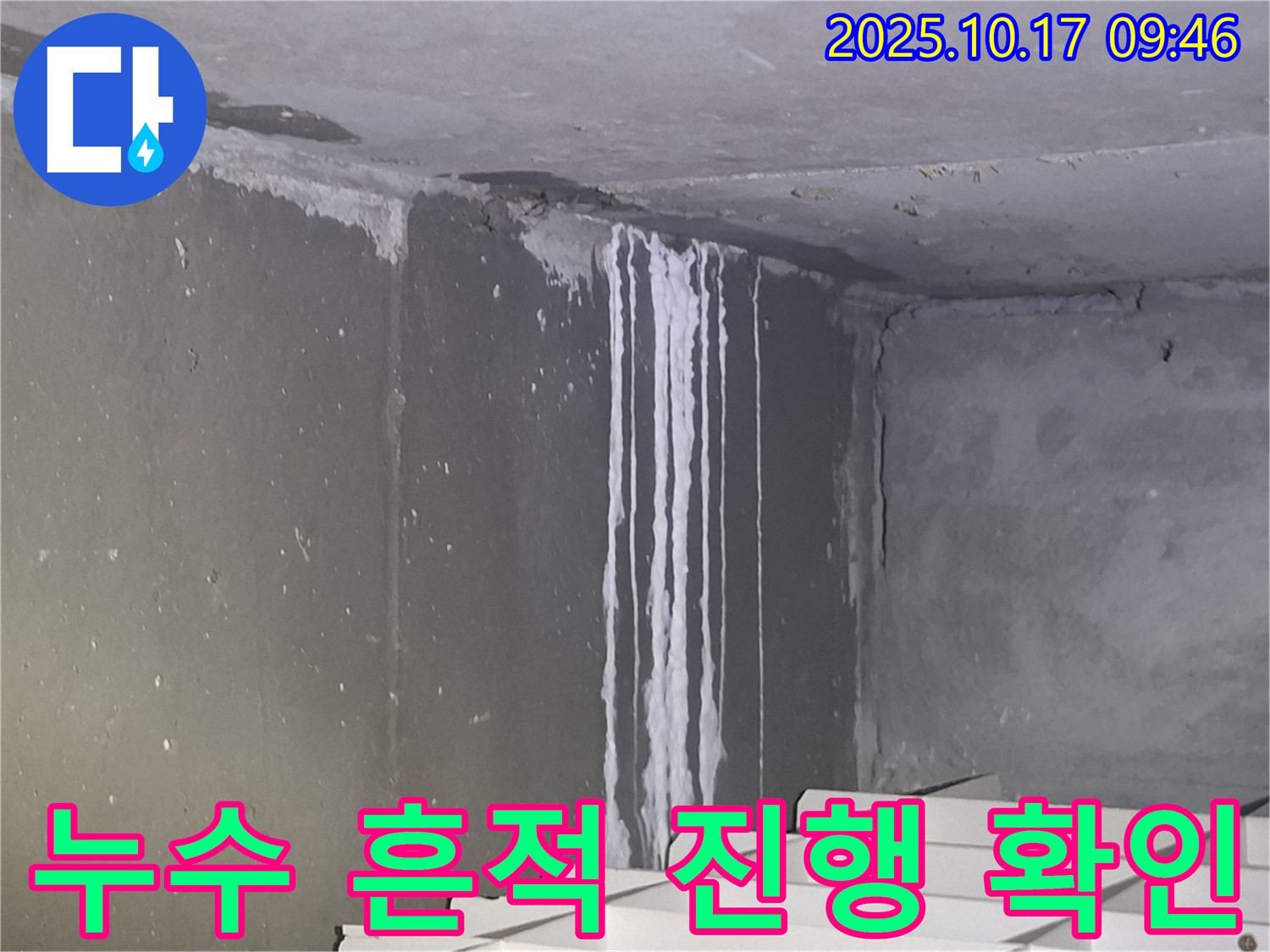 성남시 분당구 삼평동 봇들마을2단지 아파트 계단실 벽면 누수 - 누수 흔적과 진행 상황을 상세하게 확인하고 있습니다.