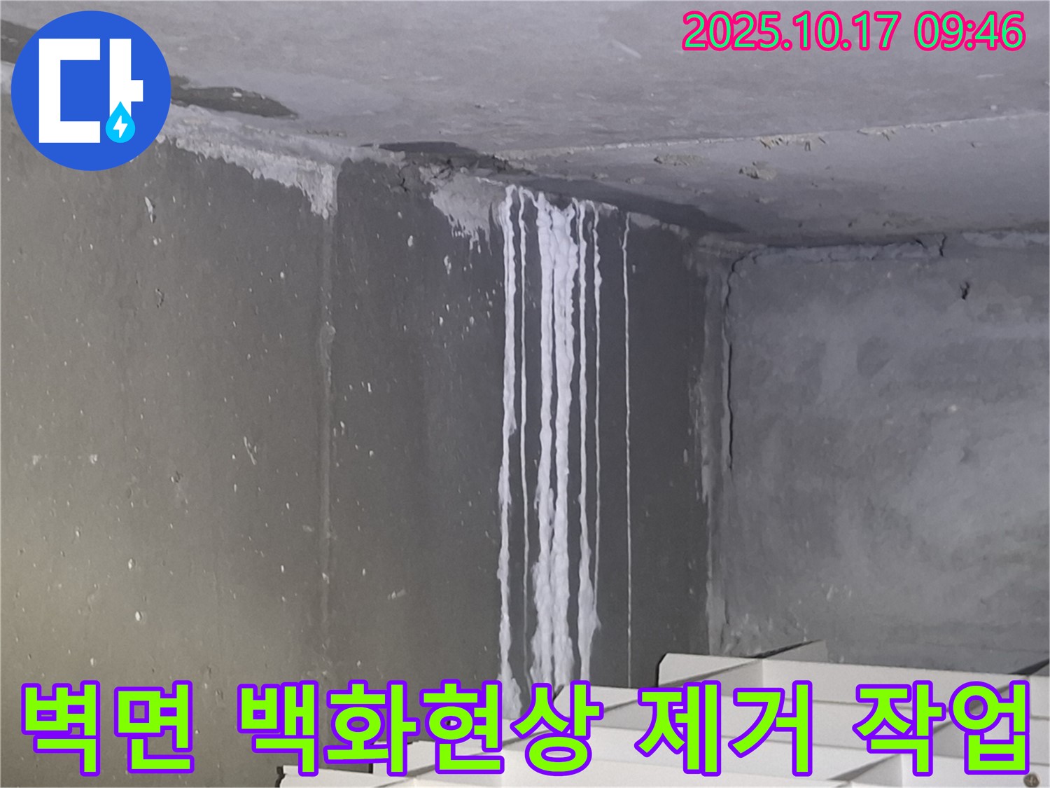 성남시 분당구 삼평동 봇들마을2단지 아파트 계단실 벽면 - 백화현상 제거 작업을 진행하고 있습니다.
