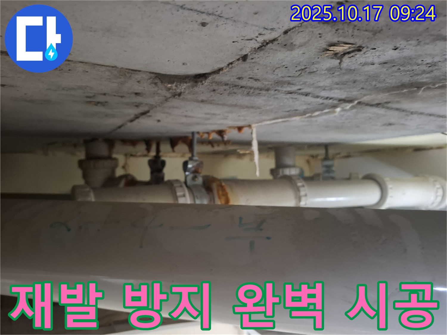 성남시 분당구 삼평동 아파트 - 봇들마을 천장 누수 재발 방지 위한 완벽 시공 약속