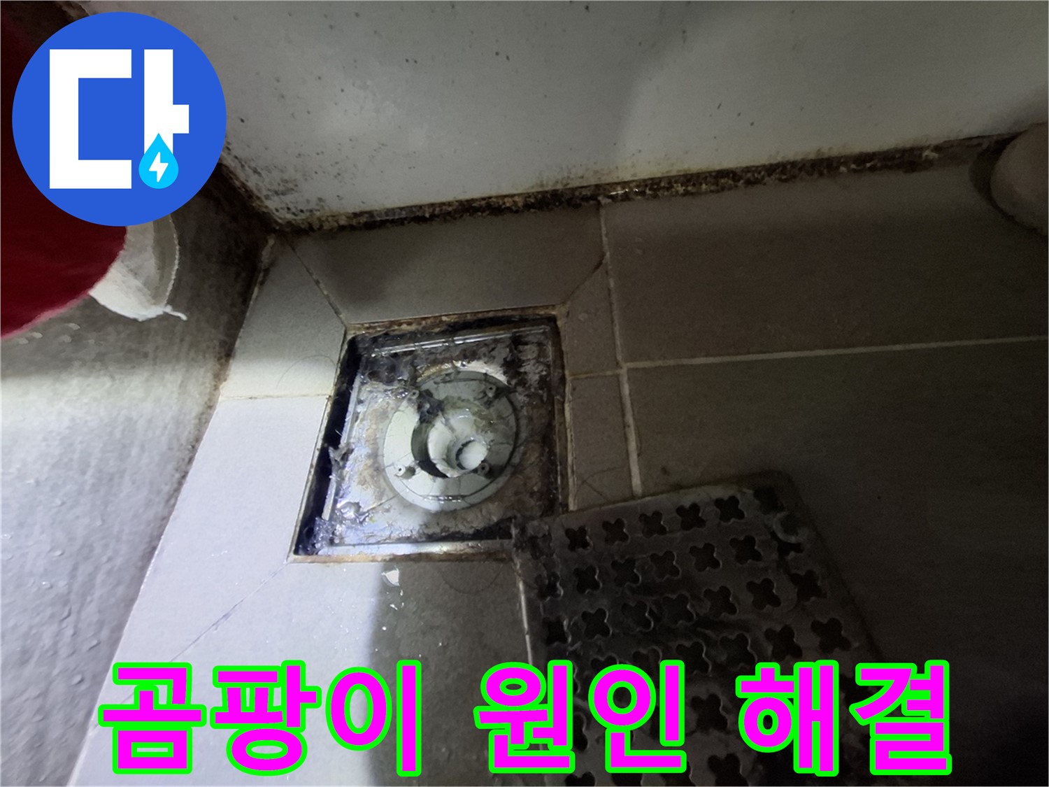 성남시 삼평동 봇들마을2단지 욕실 - 곰팡이 원인 분석 및 해결