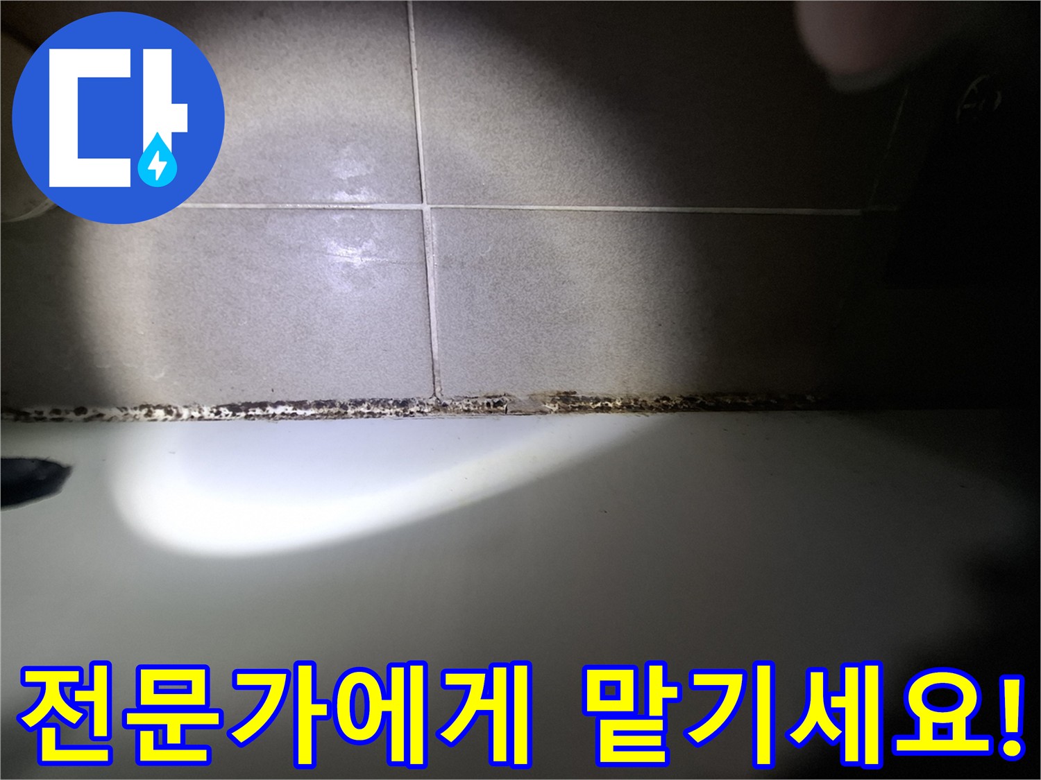 욕조 곰팡이 - 곰팡이 고민 해결, 전문가의 손길로!