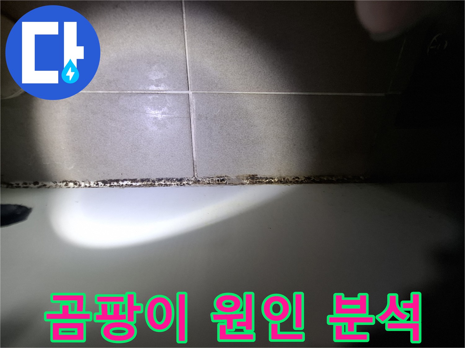 욕조 곰팡이 - 곰팡이 원인 꼼꼼 분석 후 맞춤 해결