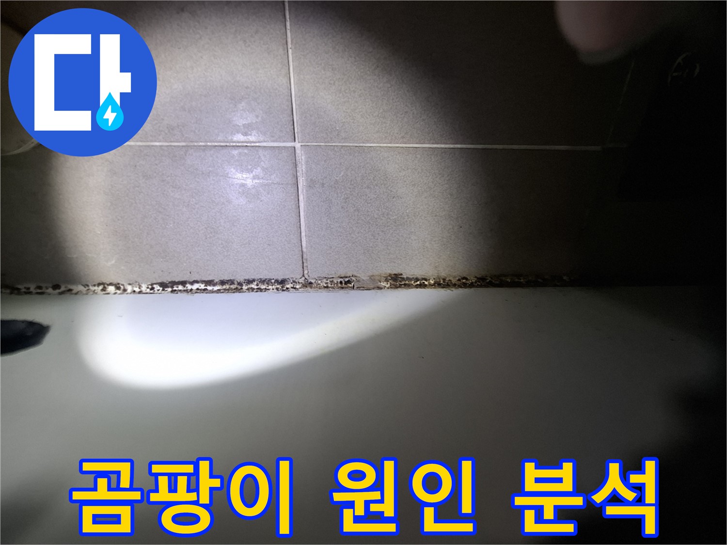 욕조 곰팡이 - 곰팡이 원인 정밀 분석 및 맞춤 해결