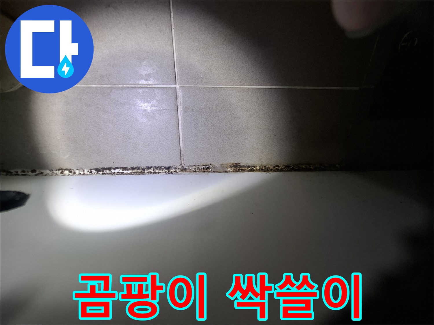욕조 곰팡이 제거 - 곰팡이 싹쓸이 대작전 개시!