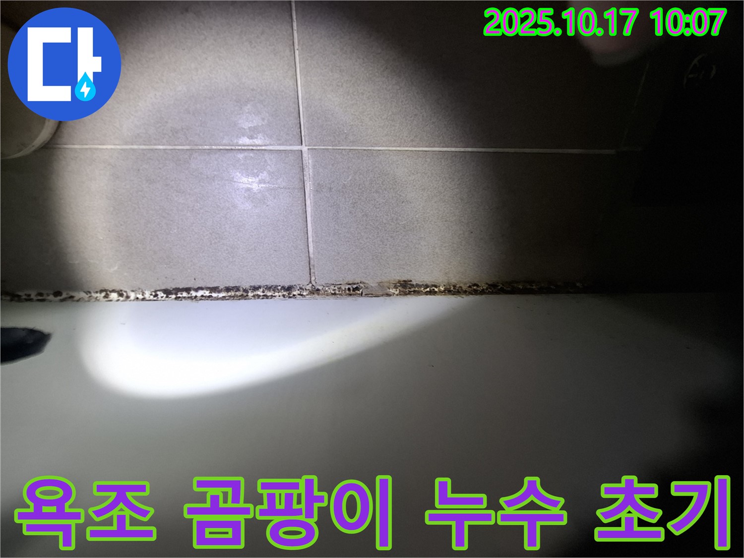 욕조 곰팡이는 누수의 초기 증상일 수 있습니다 - 간과하지 말고 점검하세요.