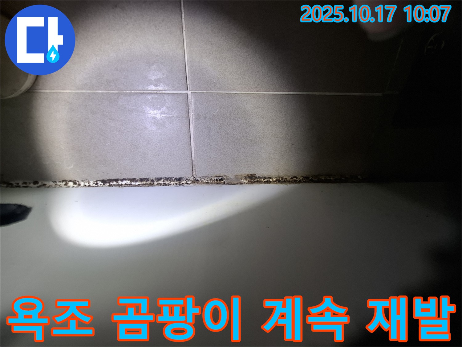 욕조 곰팡이를 제거해도 계속 생긴다면 누수를 의심하세요 - 근본적인 해결이 필요합니다.